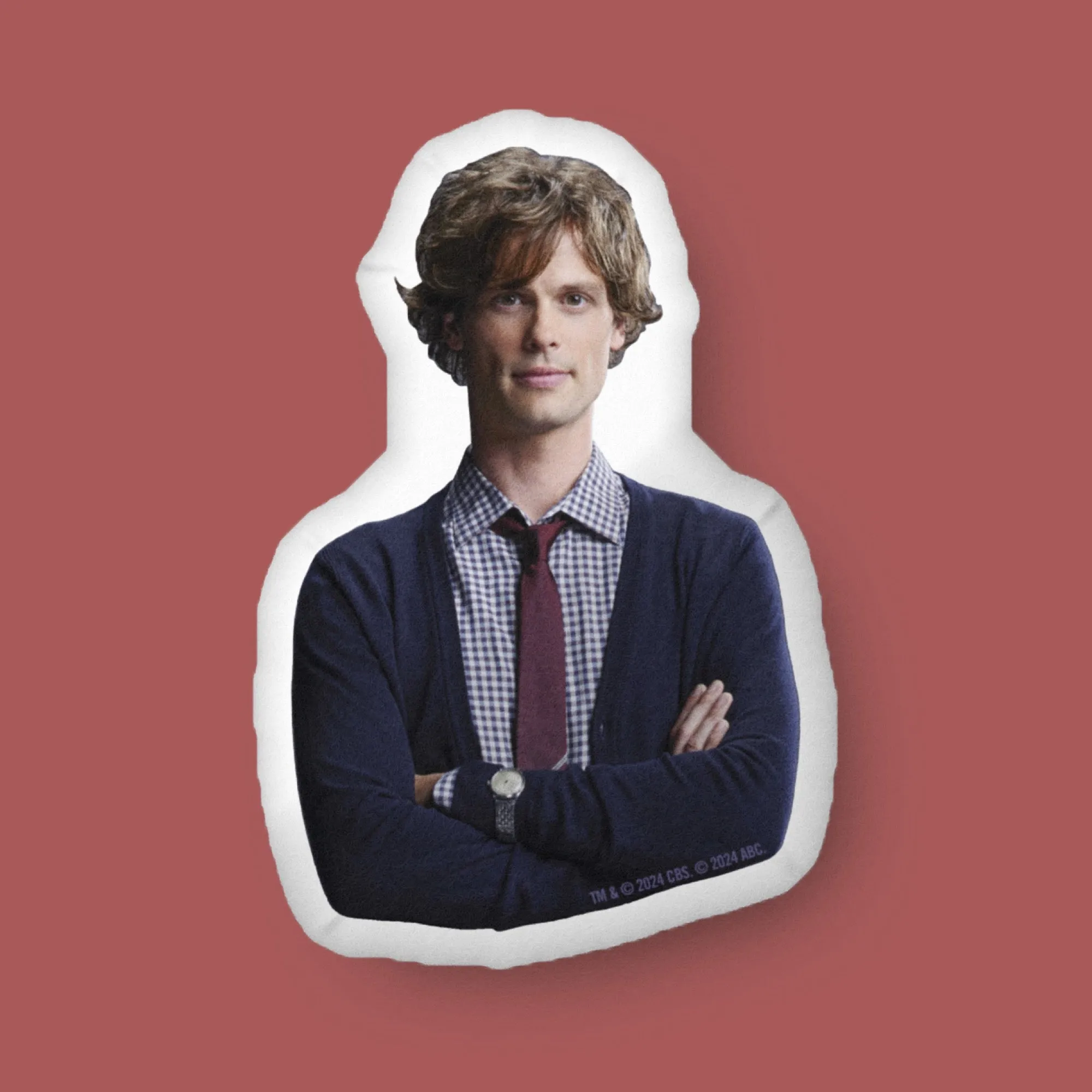 Criminal Minds Spencer Pillow